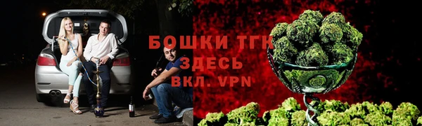 дурь Богданович